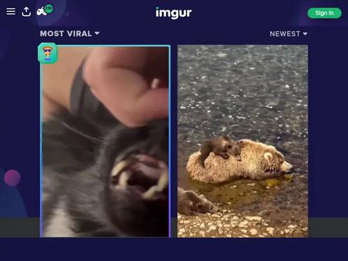 What's the name of this pornstar?