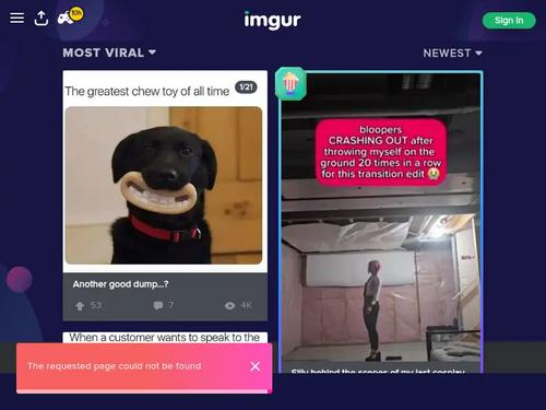 Mason Moore https://www.pornpics.com/galleries/hot-brunette-mason-moore-squirts-when-she-cums-with-a-big-cock/