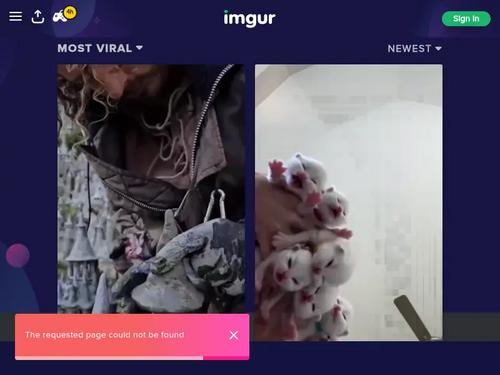 chloe spence aka ch111oe
https://www.vampire69blog.com/2022/08/chloe-spence-aka-ch111oe/