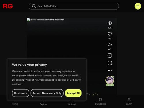 What's the name of this pornstar?