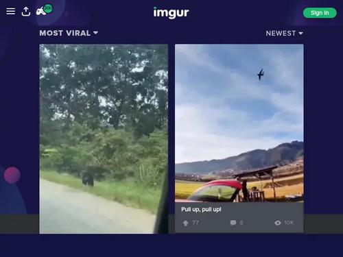 What's the name of this pornstar?